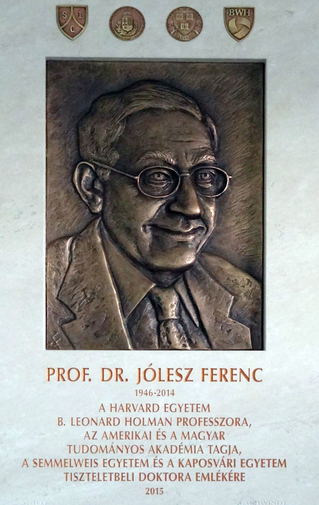 Prof. Dr. Jolesz Ferenc